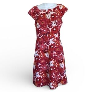 ISABELLA DEMARCO TAHARI LEVINE bold floral dress, cap sleeve, back zip. Sz 6